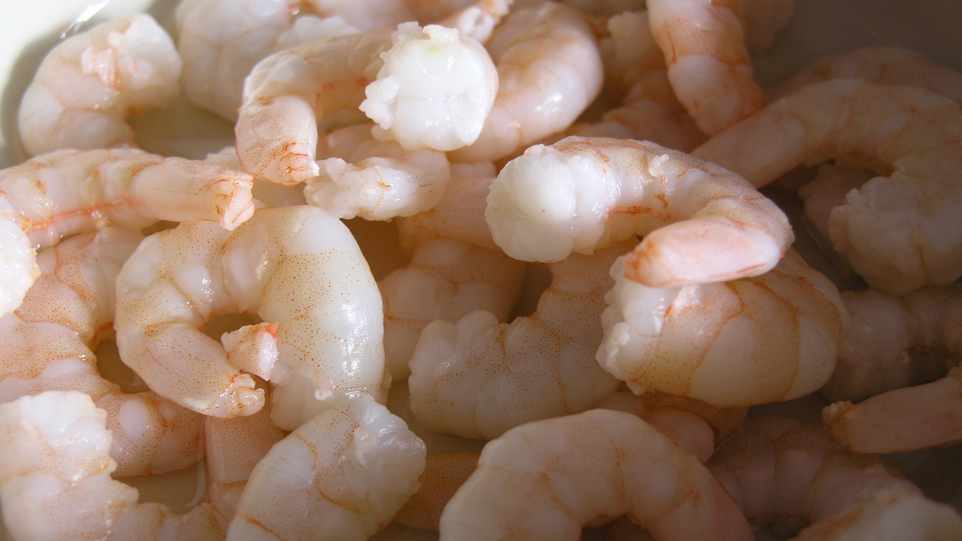 Fotostrecke Appetitanreger 06: Garnelen / Shrimps