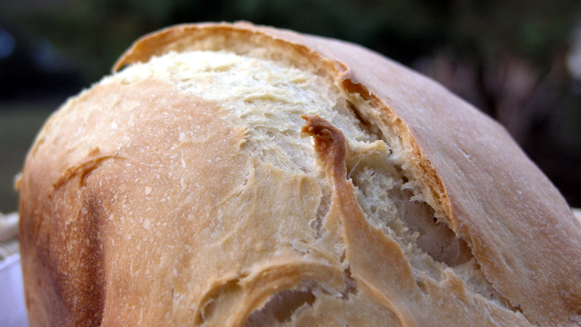 Fotostrecke Appetitanreger 22: Brot