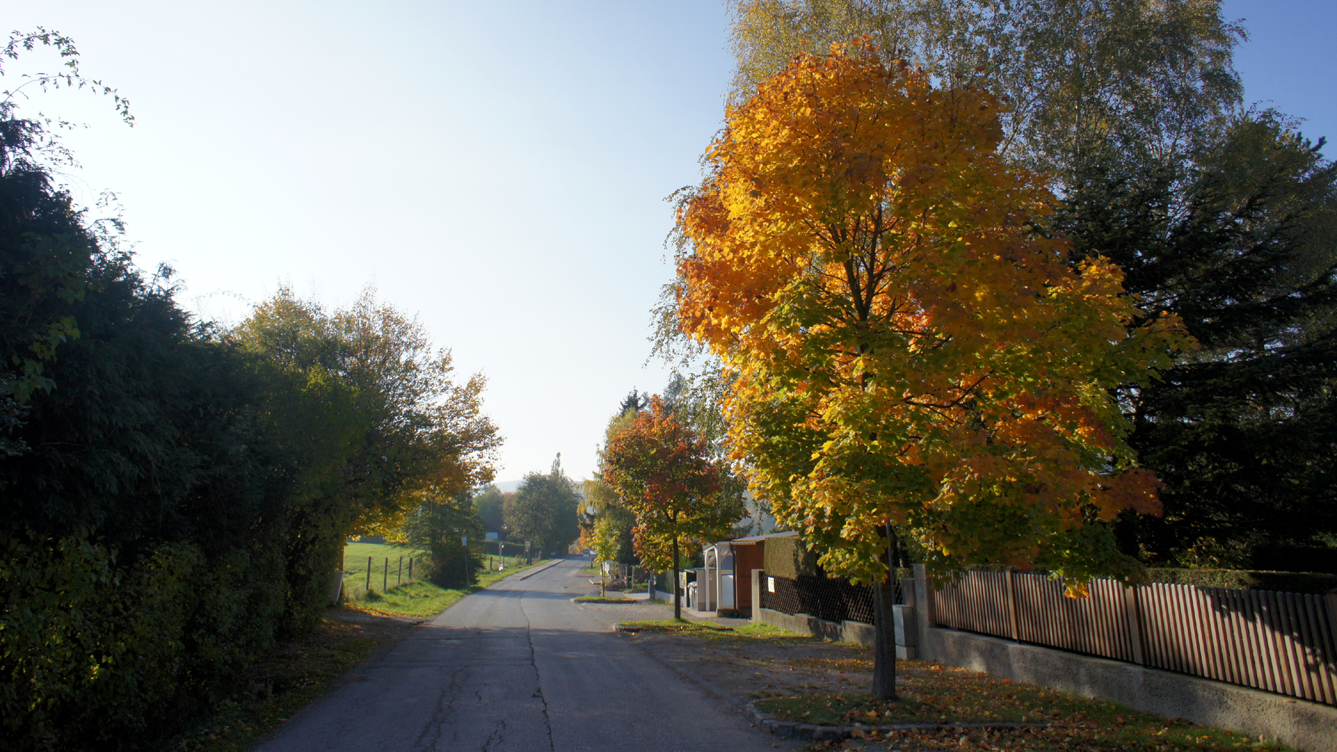 Fotostrecke Herbst Abbildung 03