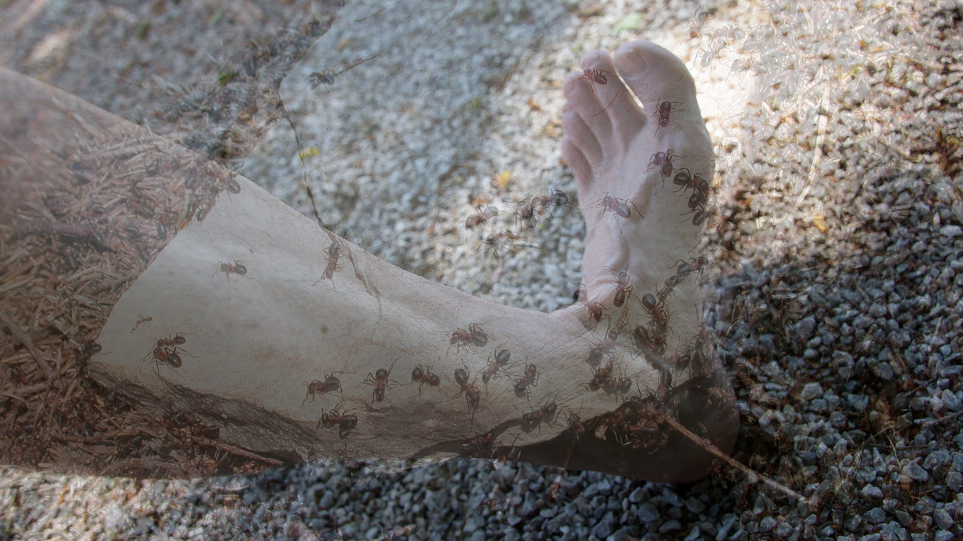 Ameisenkribbeln / Kribbeln in Armen und Beinen