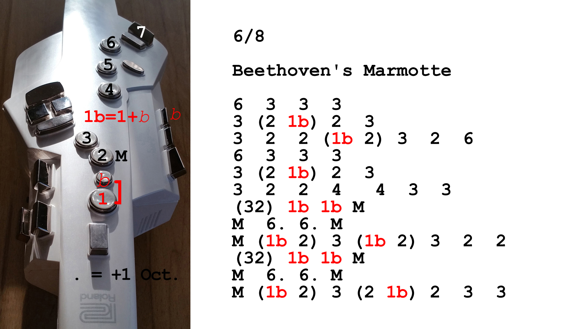 Aerophone spielen lernen nach Zahlen: Beethoven's Marmotte