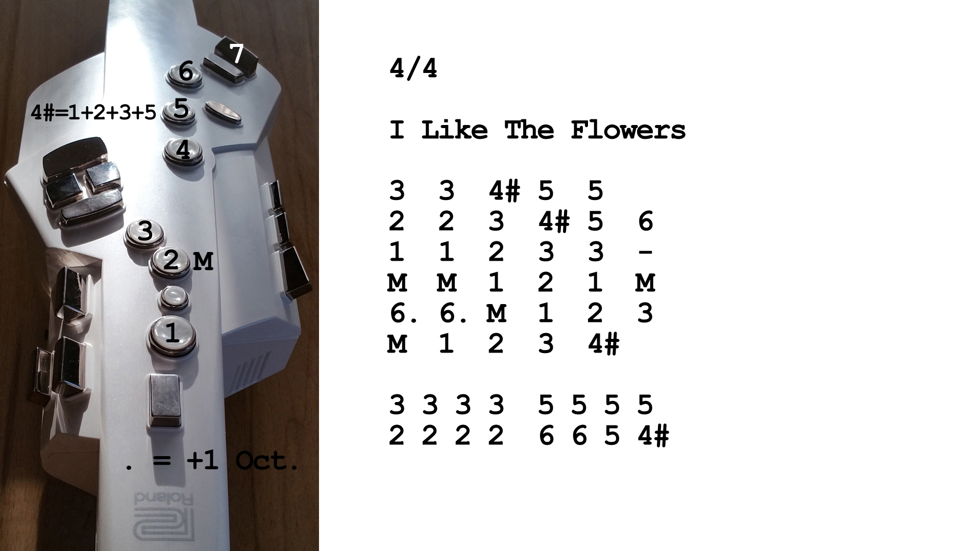 Aerophone spielen lernen nach Zahlen: I Like The Flowers