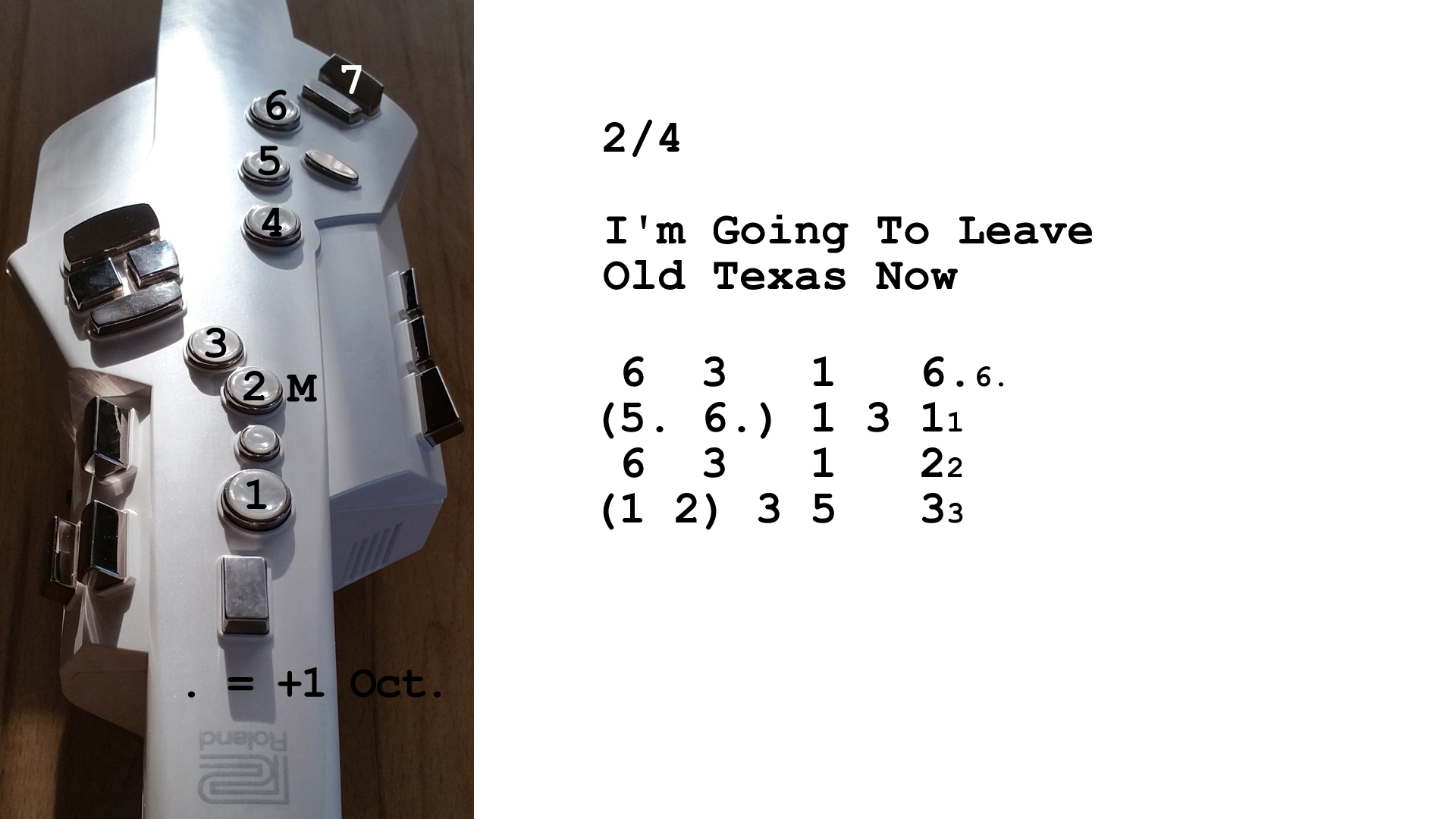 Aerophone spielen lernen nach Zahlen: I'm Going To Leave Old Texas Now