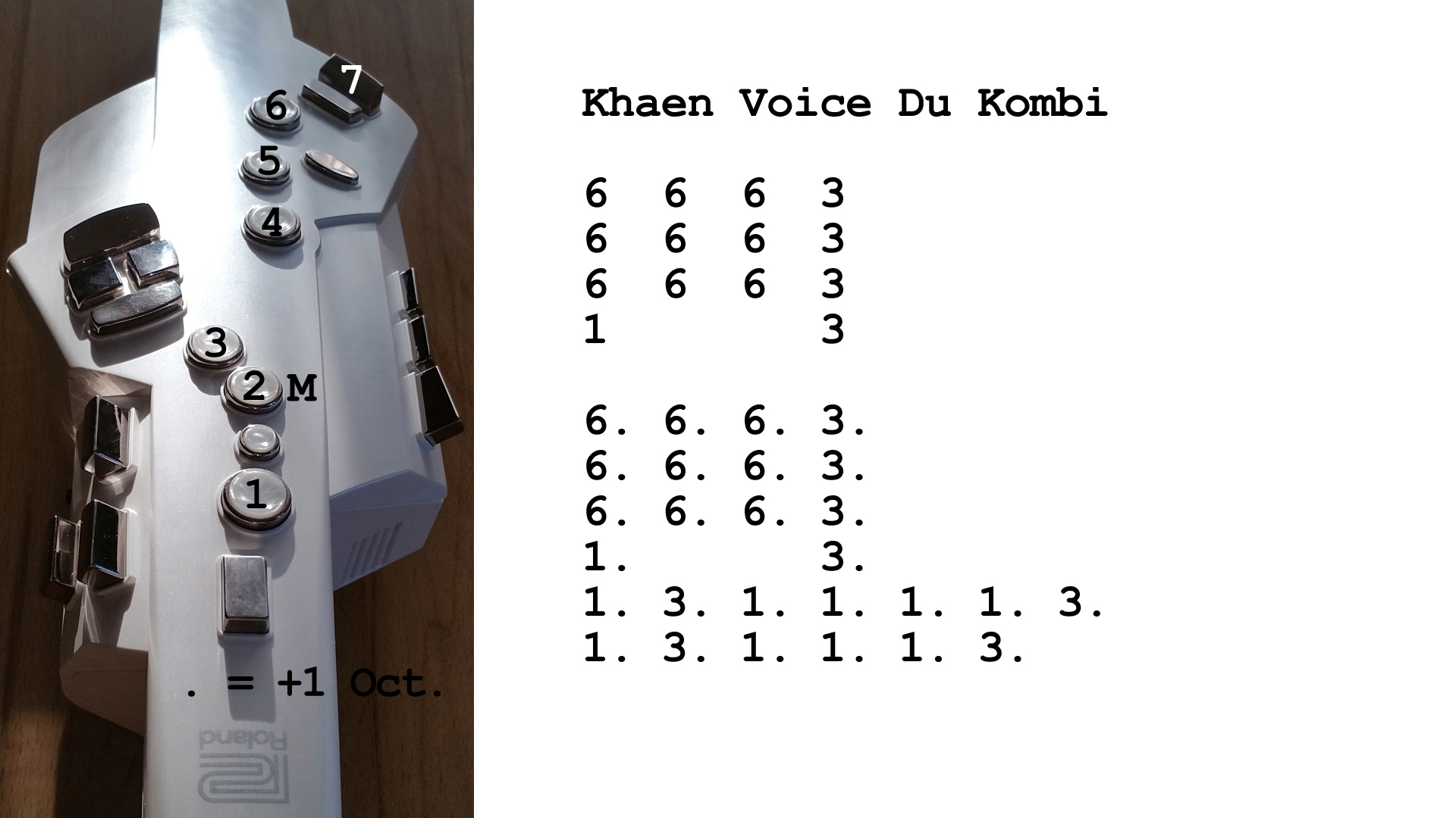 Aerophone spielen lernen nach Zahlen: Khaen Voice Du Kombi