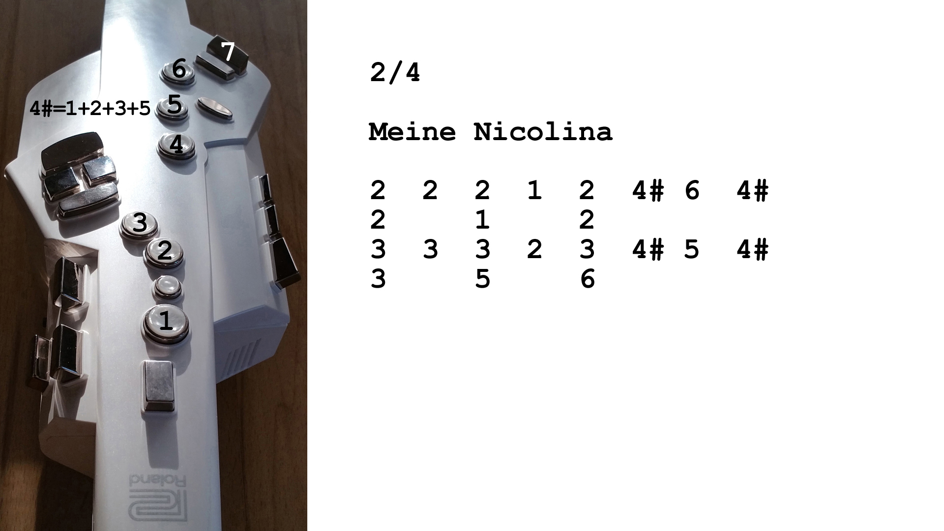 Aerophone spielen lernen nach Zahlen: Meine Nicolina