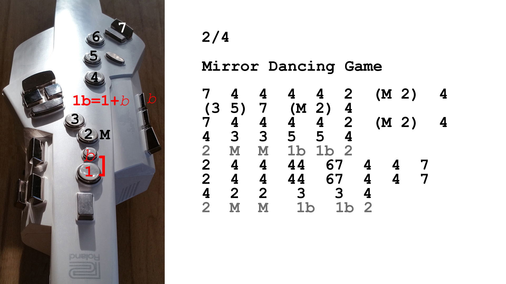Aerophone spielen lernen nach Zahlen: Mirror Dancing Game