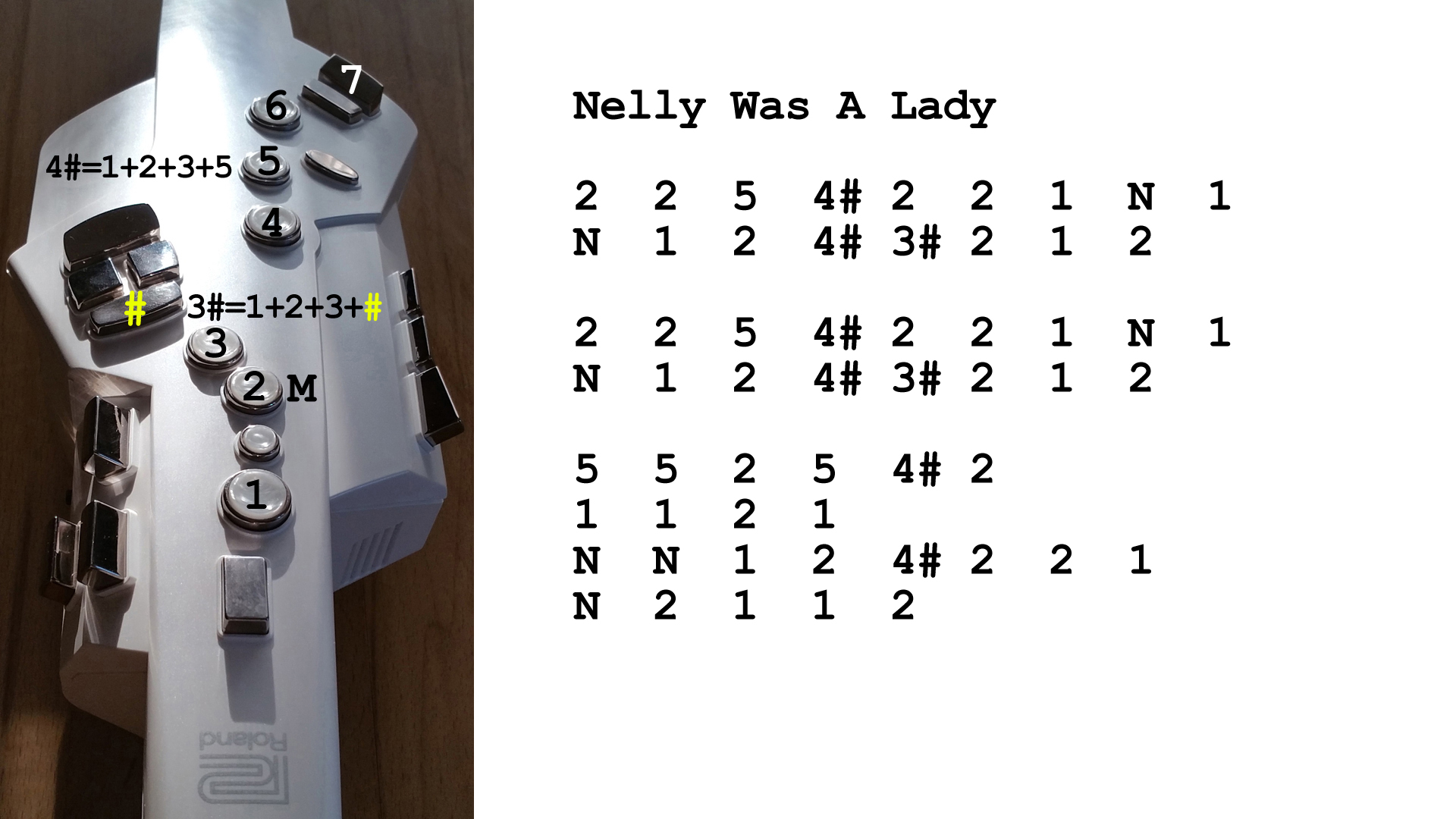 Aerophone spielen lernen nach Zahlen: Nelly Was A Lady