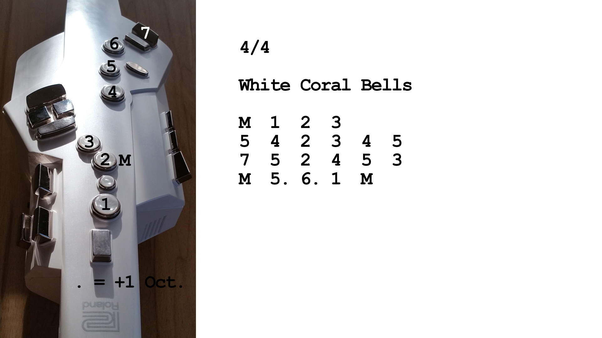 Aerophone spielen lernen nach Zahlen: White Coral Bells