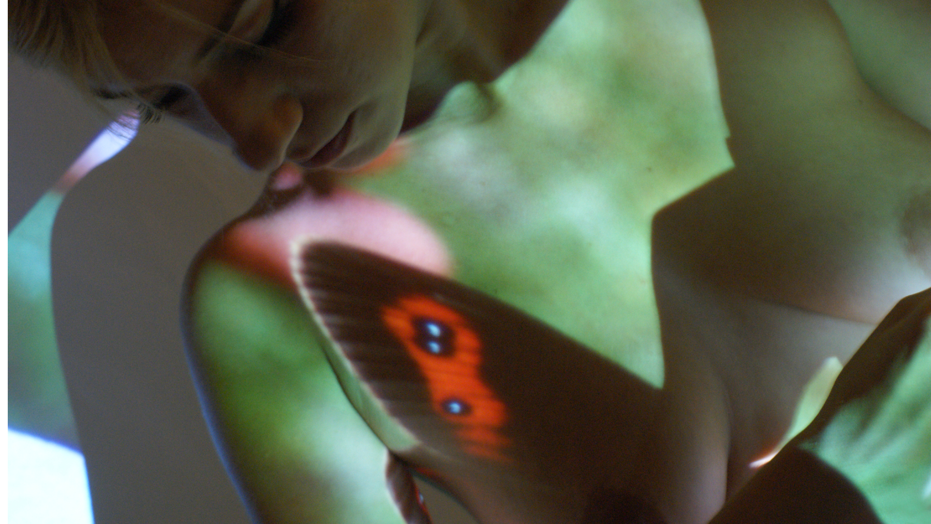 Fotostrecke Akt / Aktfotografie: Schmetterlinge im Bauch