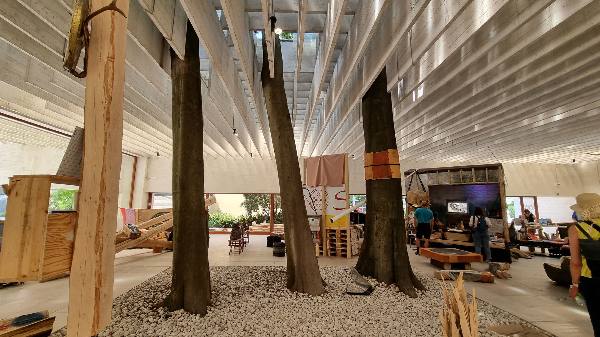 Fotostrecke Bäume: Indoor Bäume
