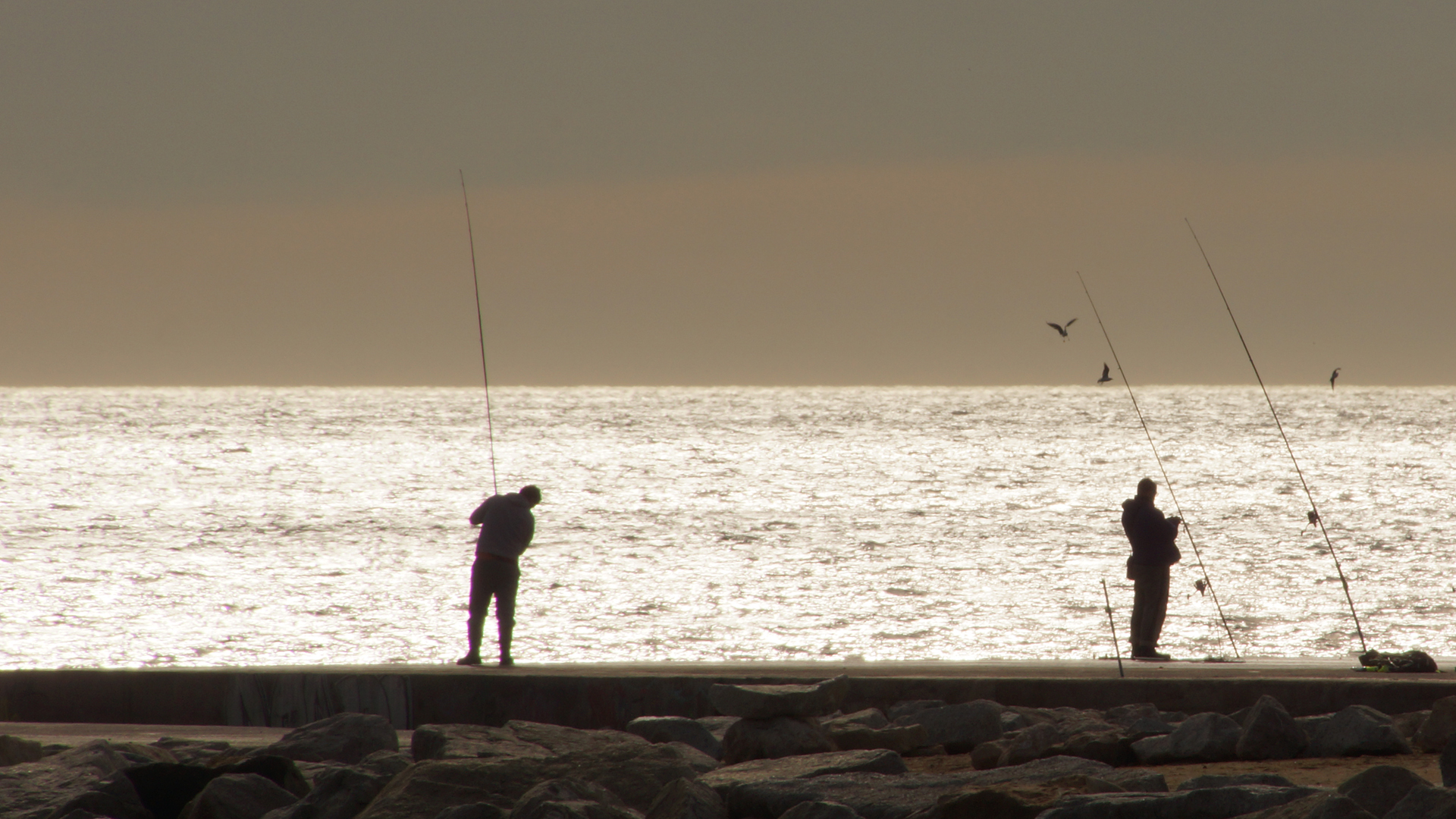 Fotostrecke Gegenlicht 13: Angler am Strand von Barcelona