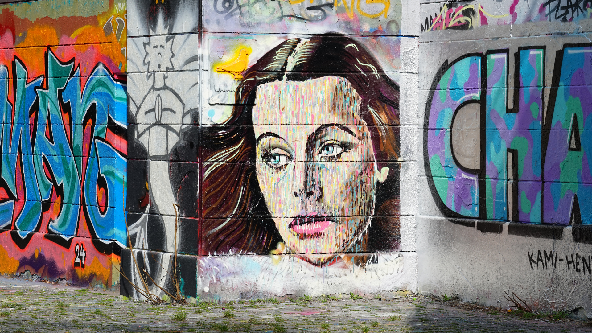 Fotostrecke Graffiti Wien 09