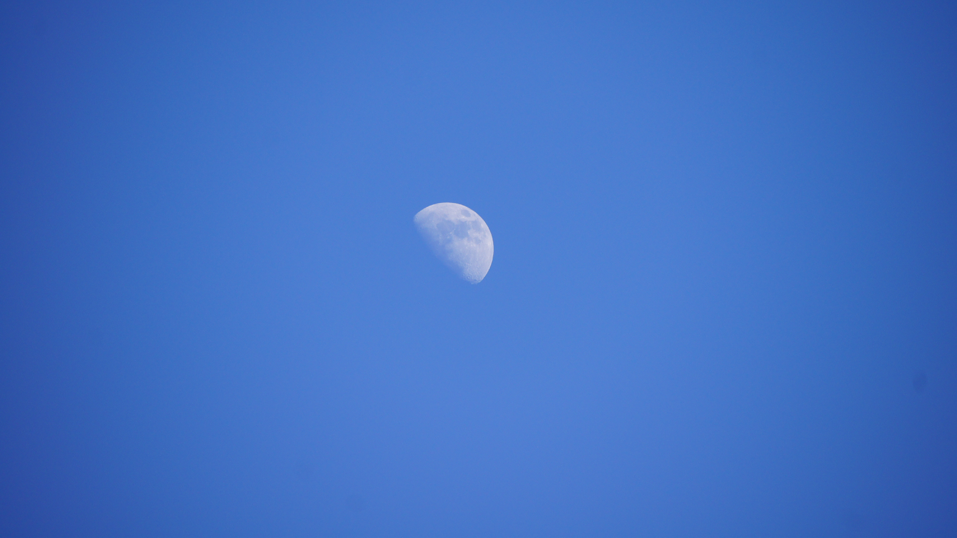 Fotostrecke Mond, Abbildung 06: Halbmond bei Tag