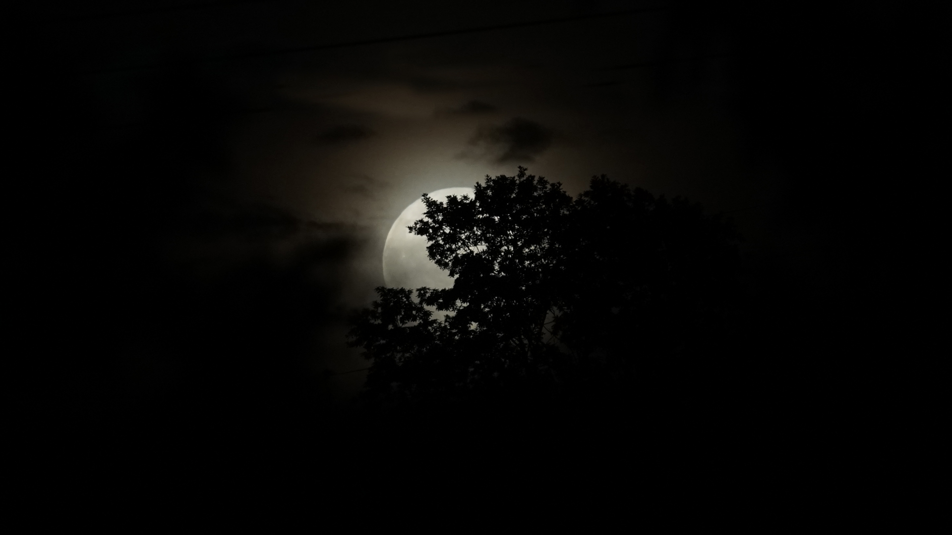 Fotostrecke Mond, Abbildung 28: Bockmond vom 3. Juli 2023