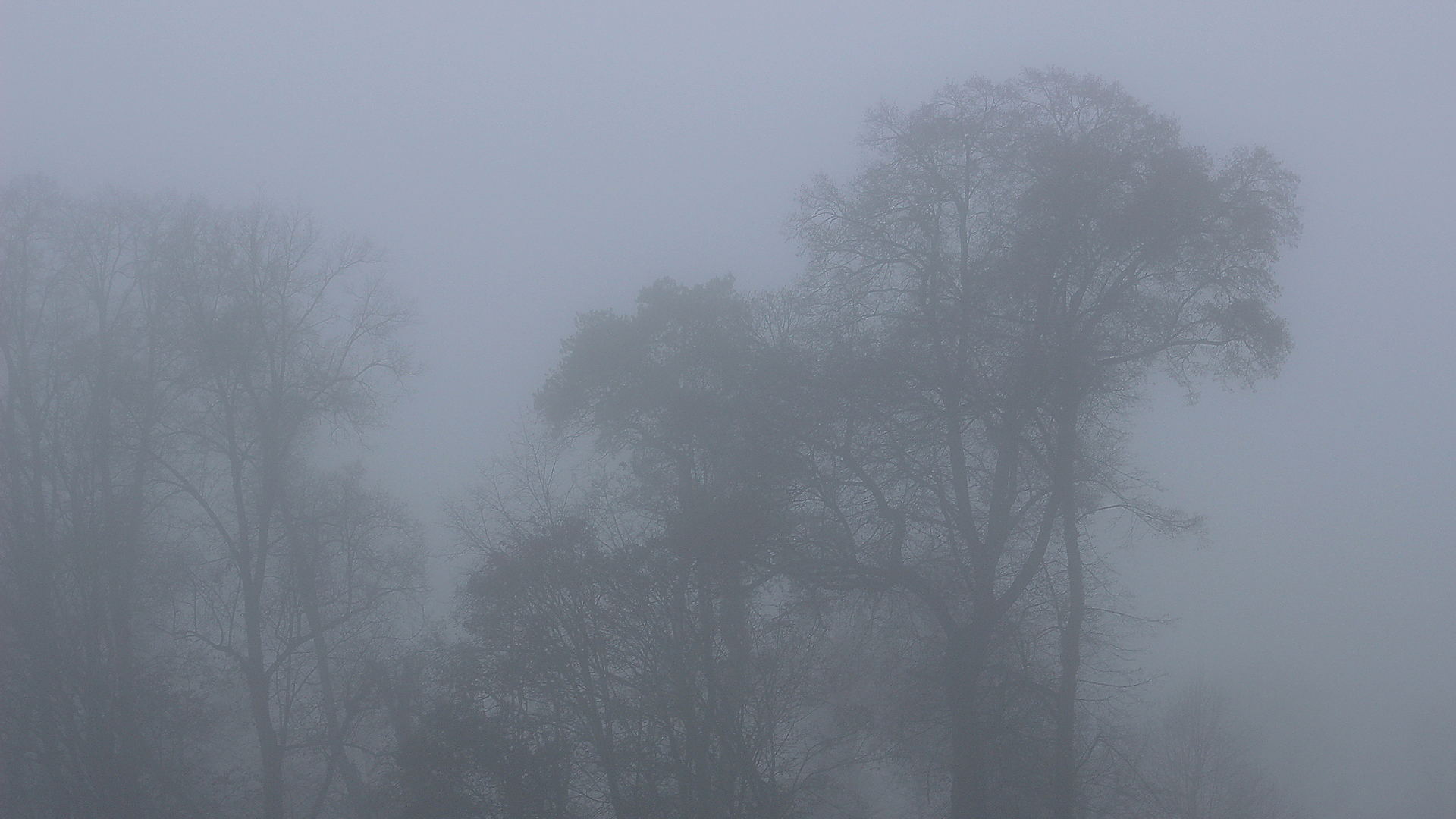 Fotostrecke Nebel Abbildung 18