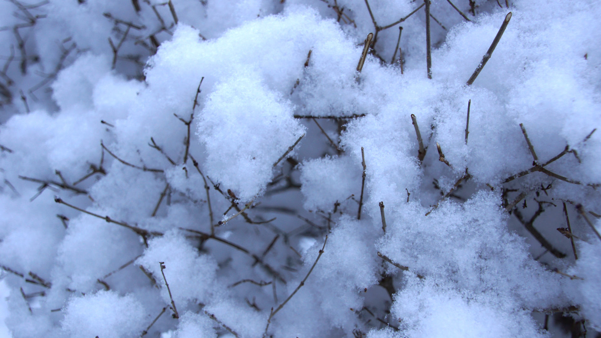 Fotostrecke Schnee Abbildung 02: Flauschiger Schnee