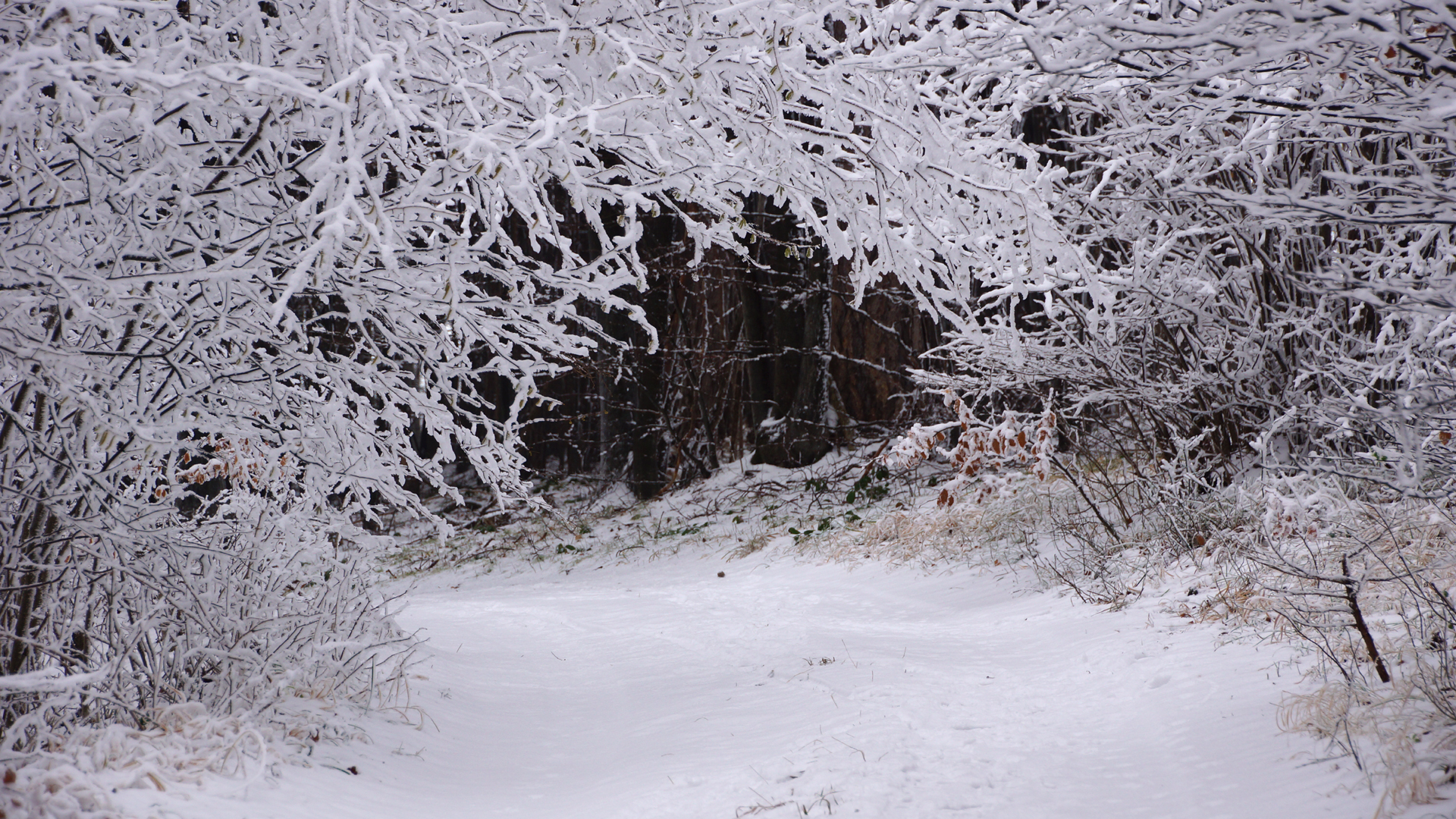 Fotostrecke Schnee Abbildung 13: Schneetunnel