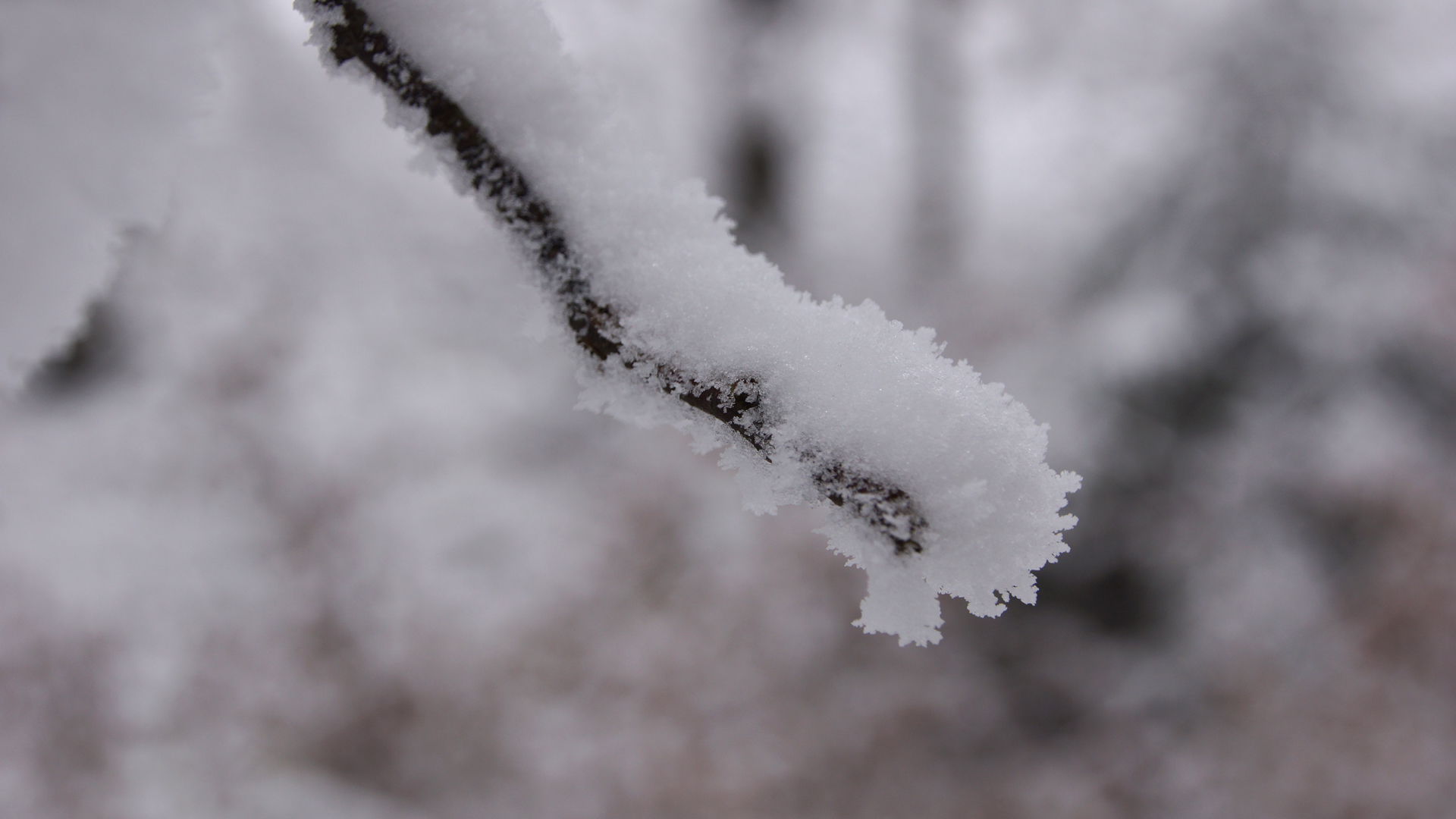 Fotostrecke Schnee Abbildung 15: schneeummantelt