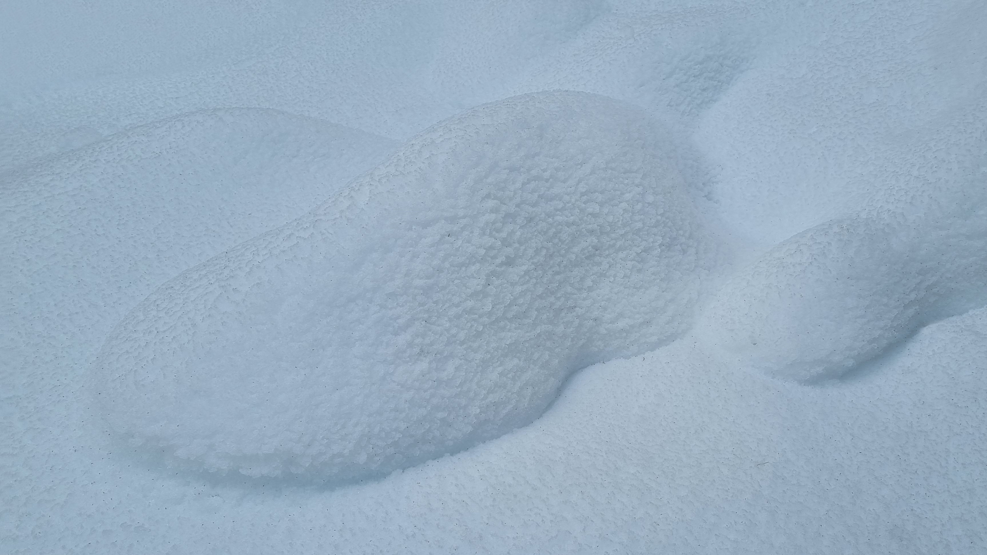 Fotostrecke Schnee Abbildung 18: Waldschnee