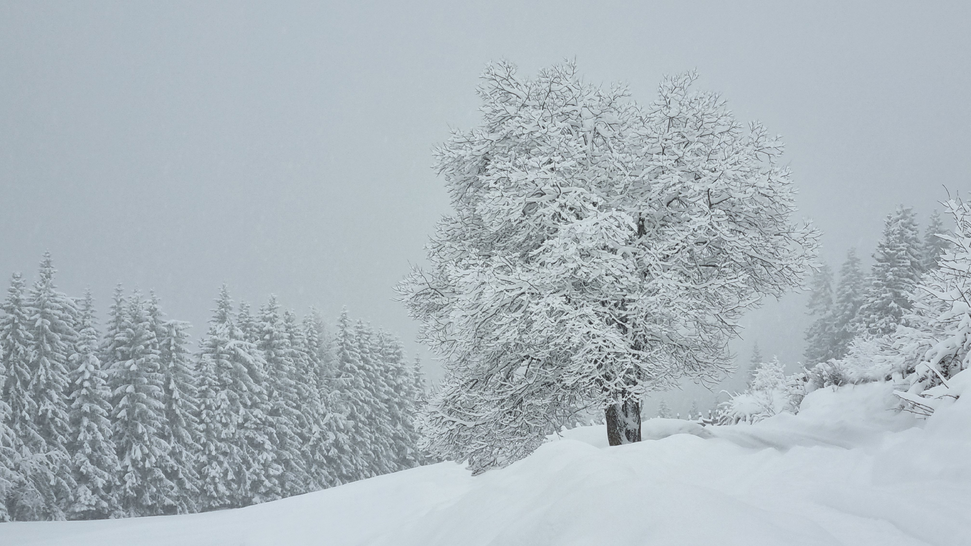 Fotostrecke Schnee Abbildung 19: Winterlandschaft bei Kartitsch