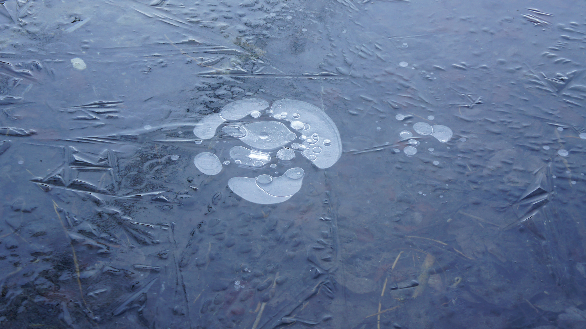 Fotostrecke Wasser 24: gefrorene Wasseroberfläche des Schiederweihers