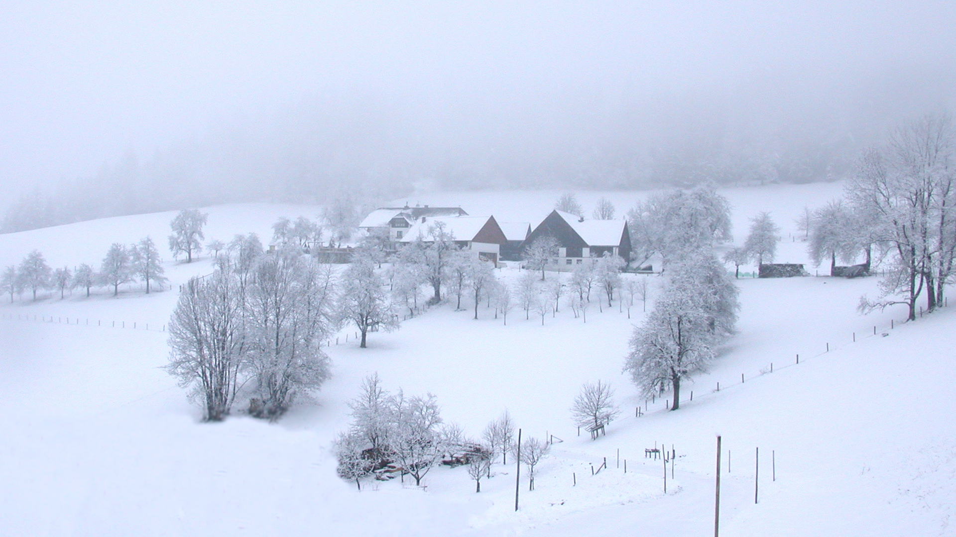 Fotostrecke Winter Abbildung 01: Gasthof Pension Moosgierler im Winter; Edlbach, Oberösterreich