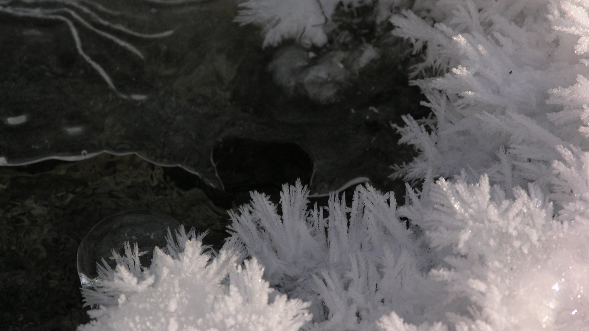 Fotostrecke Winter Abbildung 31: Eiskristalle am Bach