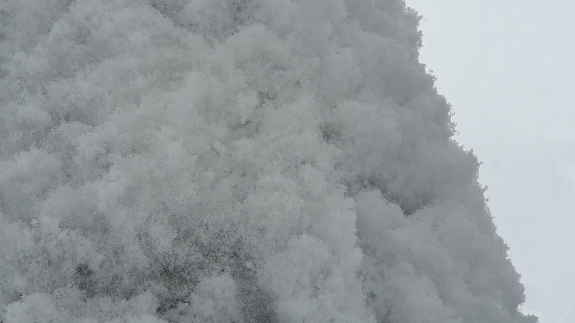 Fotostrecke Winter Abbildung 32: Baumstamm mit frisch gefallenem Schnee