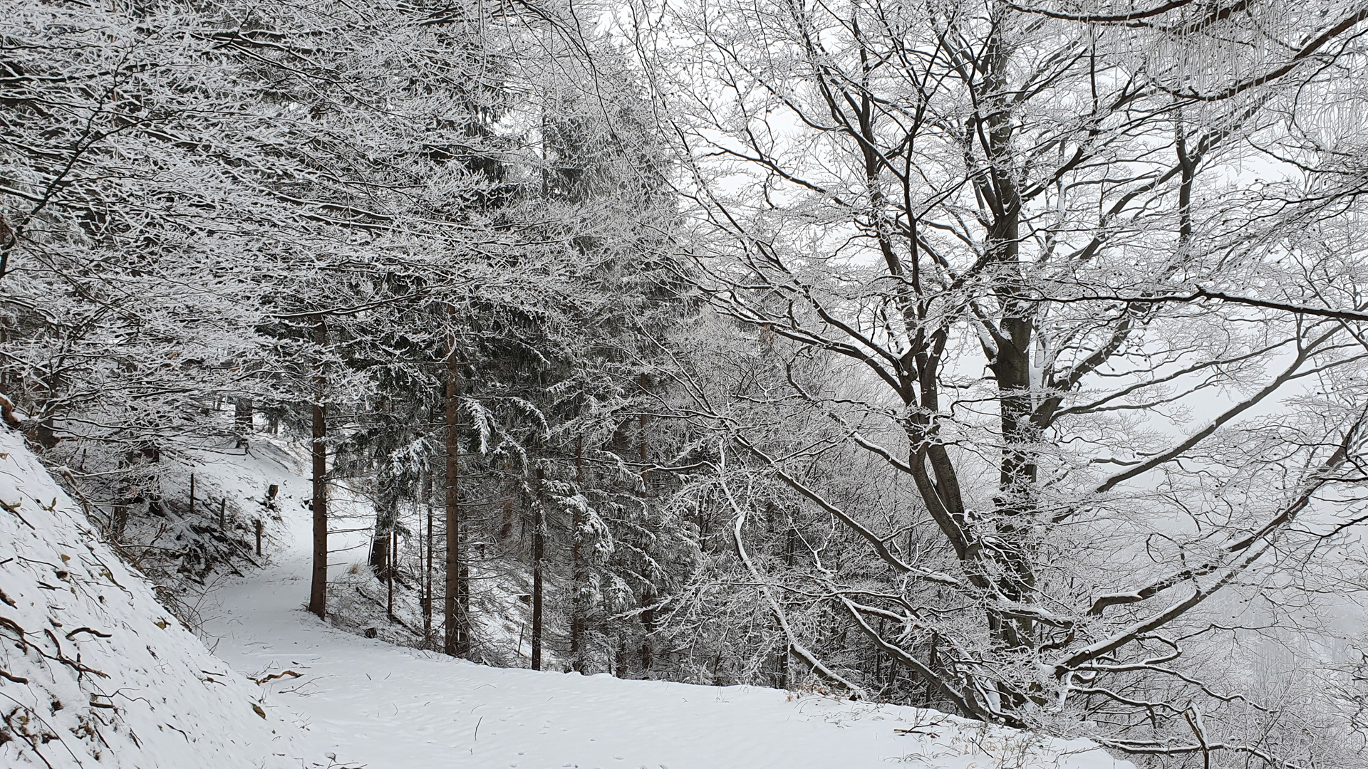 Fotostrecke Winter Abbildung 42: Winter-Wunderland am Geissenberg in Schwarzenbach an der Pielach