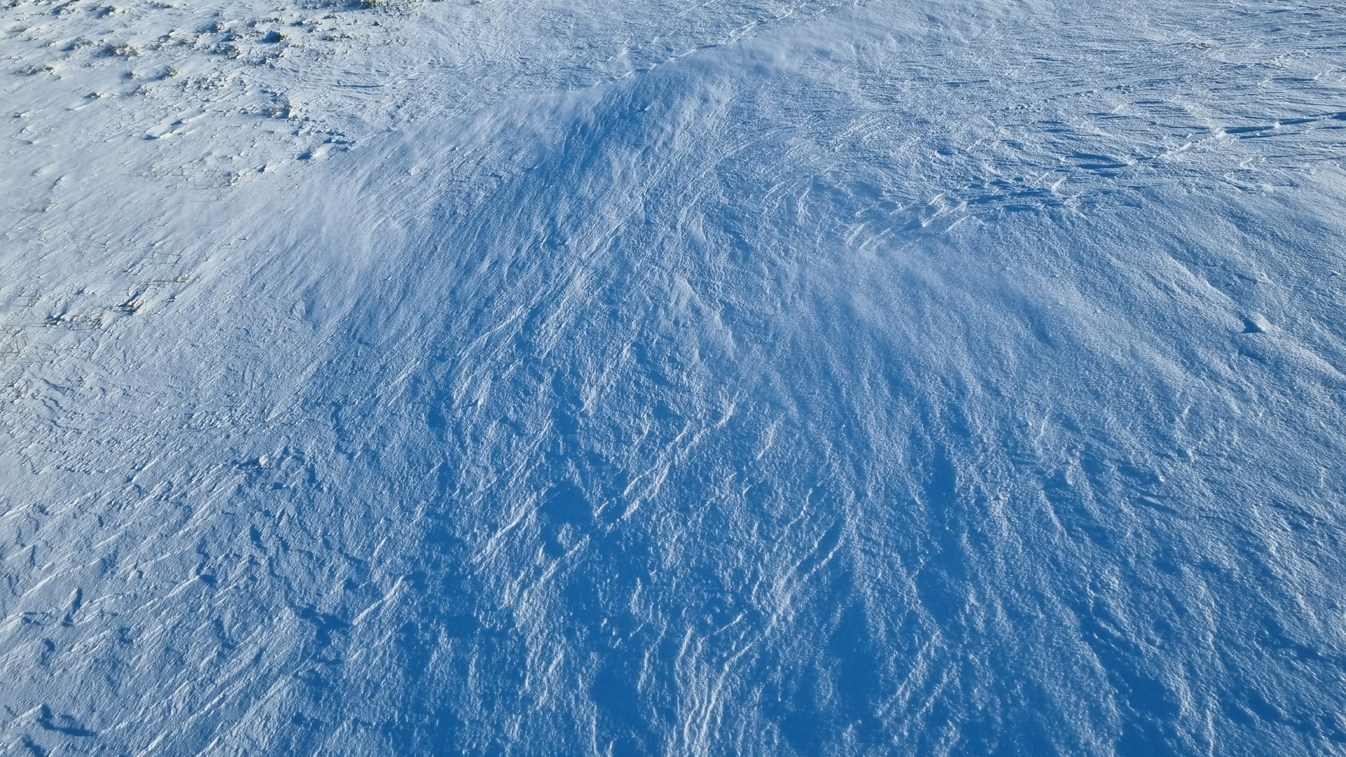 Fotostrecke Winter Abbildung 58: Nach dem Wintersturm