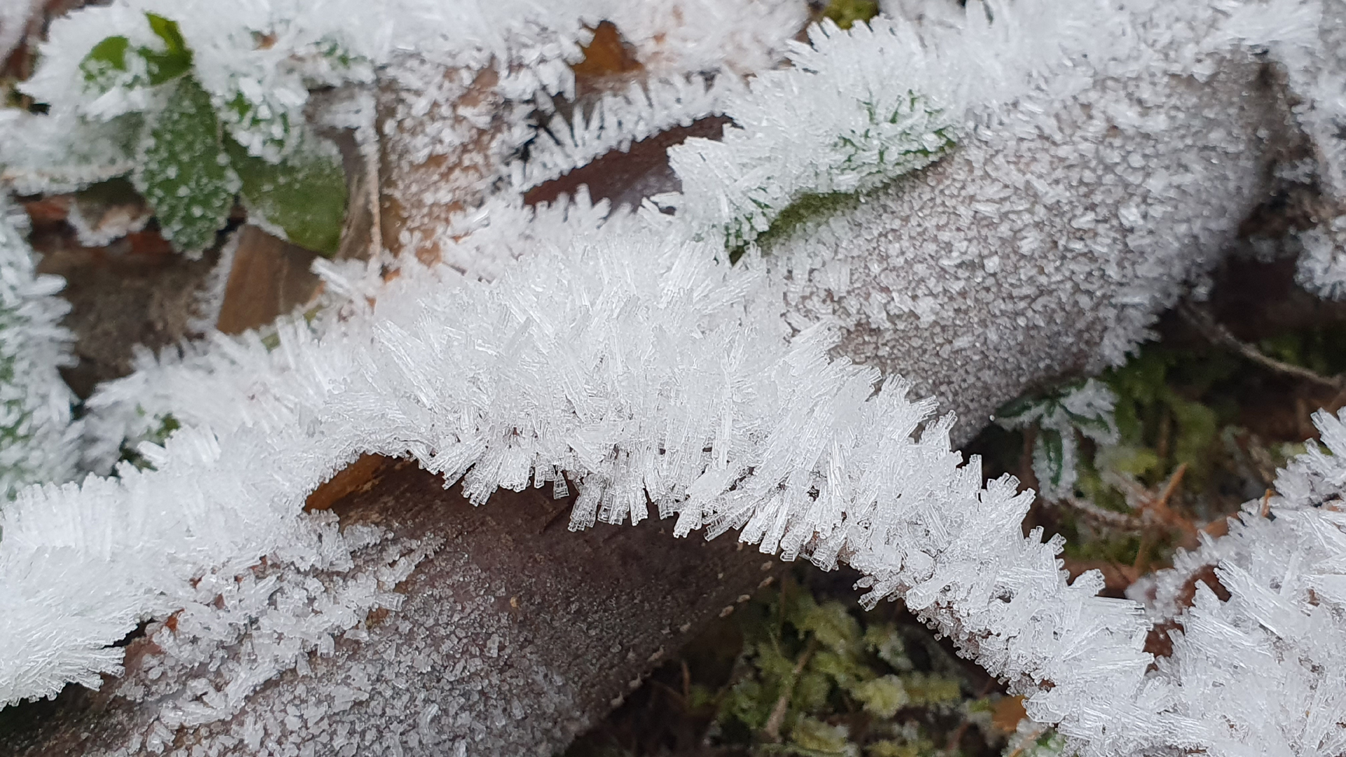 Fotostrecke Winter Abbildung 63: Schneekristalle