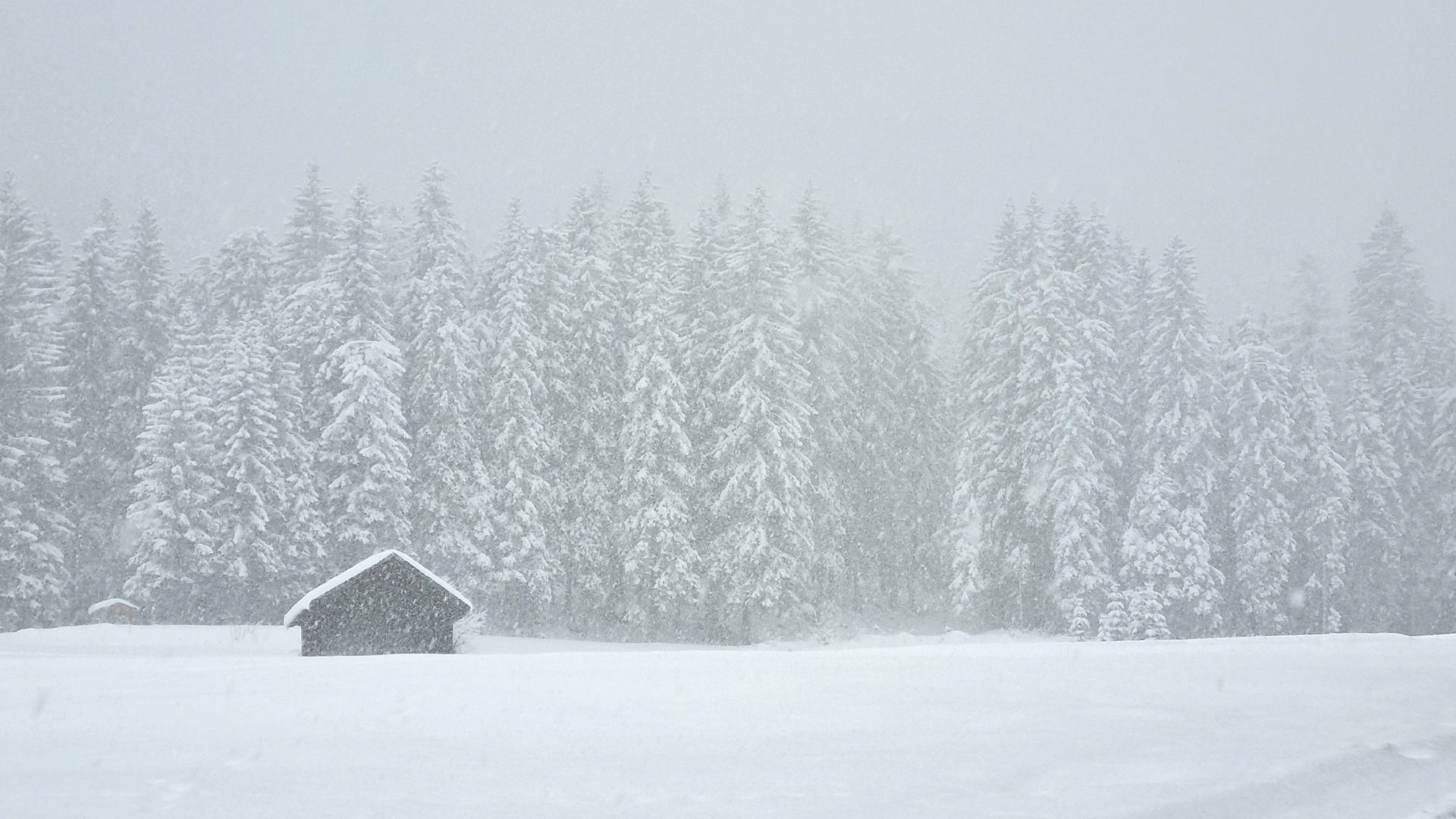 Fotostrecke Winter Abbildung 65: Starker Schneefall in Tirol