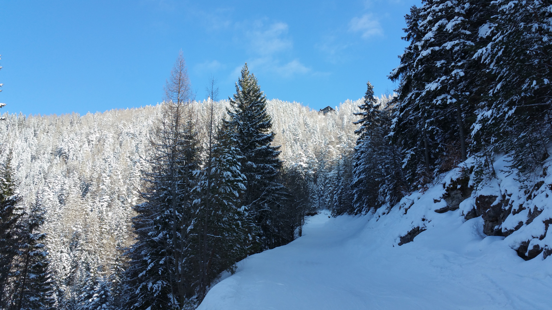 Fotostrecke Winter Abbildung 76: Waldweg auf die Bürgeralpe bei Mariazell