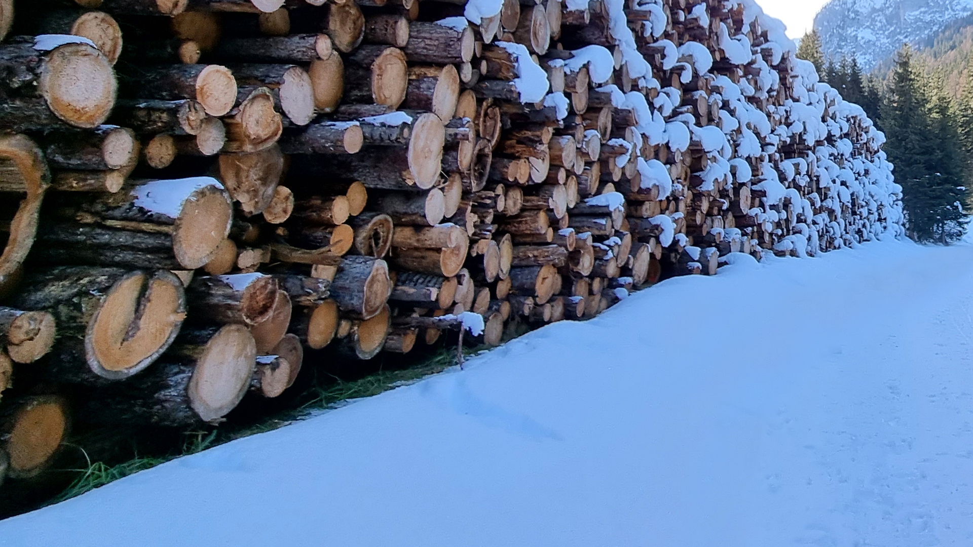 Fotostrecke Winter Abbildung 79: Holzstapel
