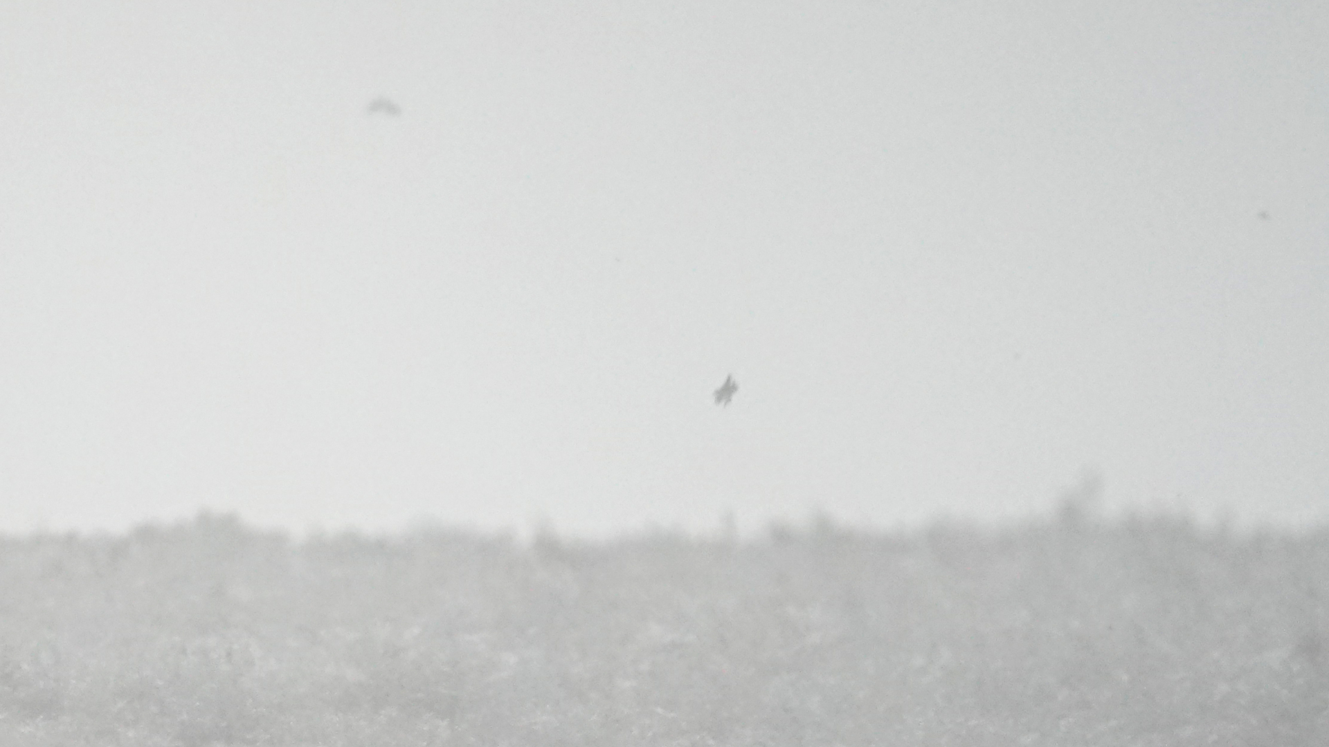 Fotostrecke Winter Abbildung 90: Touchdown einer Schneeflocke