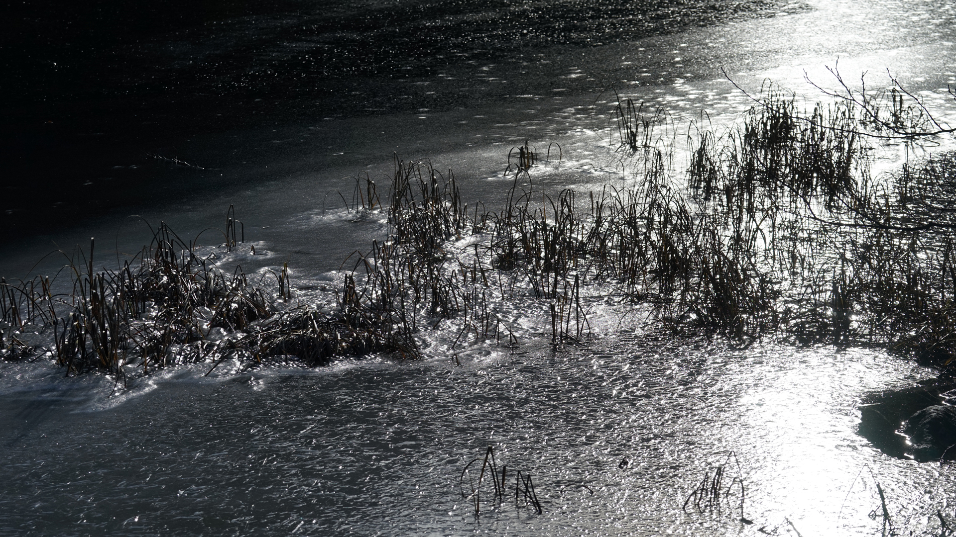 Fotostrecke Winter Abbildung 93: Zugefrorenes Seeufer